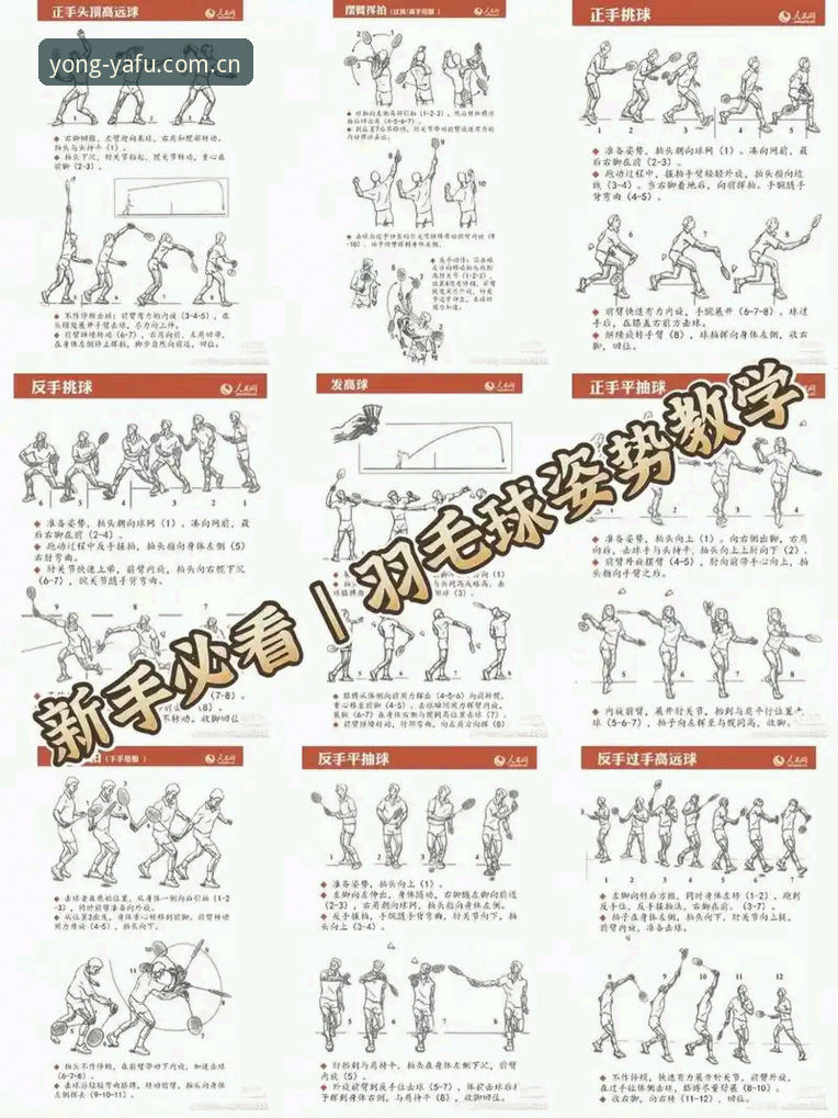 亚富体育官网 亚富体育平台新手操作教程:从官网入口到赛事分析的完整指南